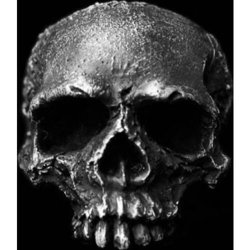 Mens Boys Vintage 316L Stainless Steel Rugged Skull Rings Fashion Punk Party Biker Jewelry