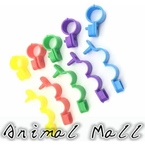 500 Pcs Pet Birds Quail Parrot Pigeon 5 Colors Opening Formula Chicken Foot Ring Bird Foot Ring Foot Ring Tool