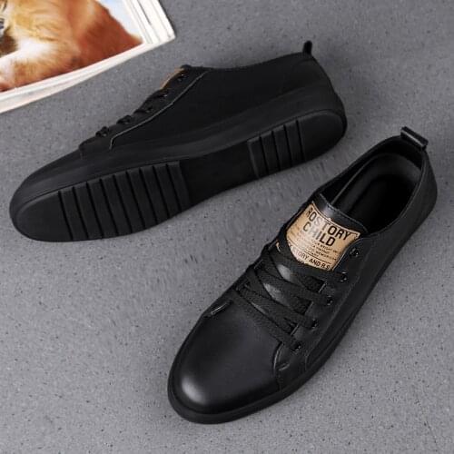 Mens Casual Shoes Breathable Loafers Outdoor Walking Shoes Fashion Sneakers Lace Up Board Shoes Comfortable Flat Shoes