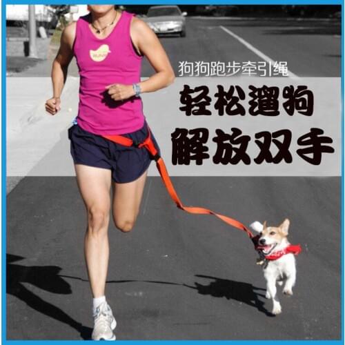 Running pet leash Set Hands Free Attractive Colorful Popular Traction Pulling Leash Safe Fashion Pets Accessories