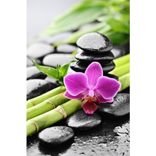 JMINE Div 5D Orchid Flower Stone SPA bamboo Full Diamond Painting cross stitch kits art Scenic 3D paint by diamonds