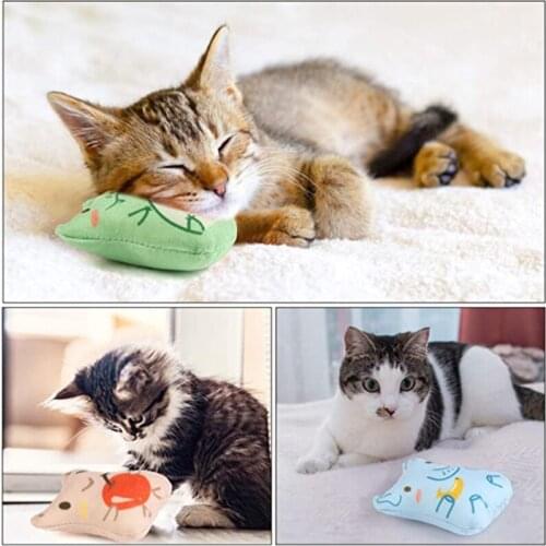 Pet Cat Toys Chewing Teeth Scratch Resistant Color Printing Entertainment Tool For Cat Grinding Toys Durable Supplies