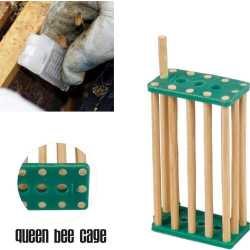 Beekeeping Queen Bee Cage Small Bamboo Type Suitable For Honeybee Queen Goods Tools For Beekeeper Suppiler