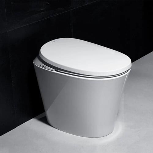KASG KA915DH Ceramic Intelligent Smart Toilet