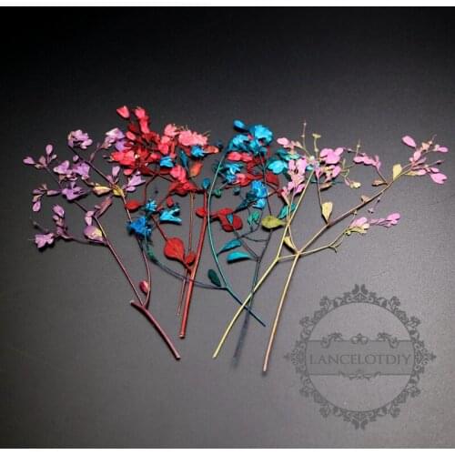 Small packs real dry pressed red,blue,pink flower leaf craft for DIY glass dome resin filling 10pcs each pack 1503170