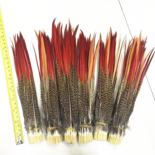 Natural Pheasant Tail Feathers Red Tips 2-12inch/5-30CM Red Sword Feathers for Crafts Wedding Decoration DIY Accessories Plumes