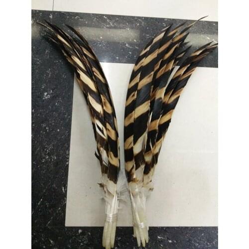 Wholesale 2 pcs Beautiful Striped Patterns eagle Feather 50-60 cm /20-22 inches Beautiful Patterned Feathers