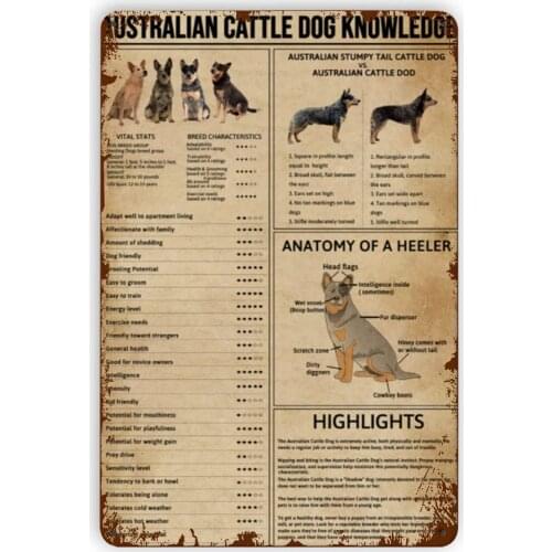 Australian Cattle Dog Knowledge Funny Wall Decor for Home Bars Pubs Cafes Retro Art Sign Rusty Tin Sign Metal Posters