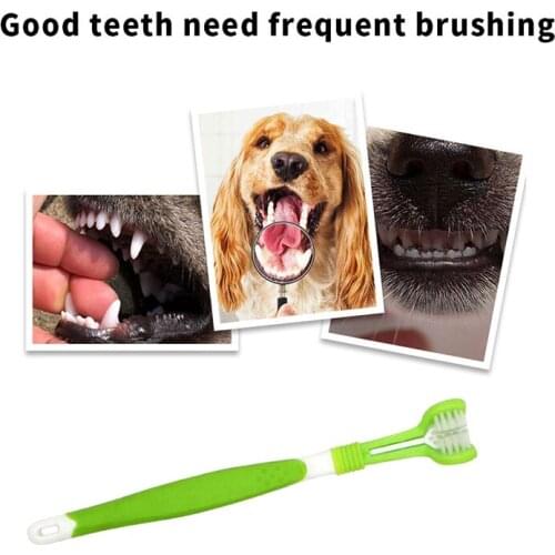 Pet cleaning supplies Three Heads Pet Cat Dog Toothbrush Teddy Dog Brush Addition Bed Breath Tartar Teeth Care Dog Cat Cleaning