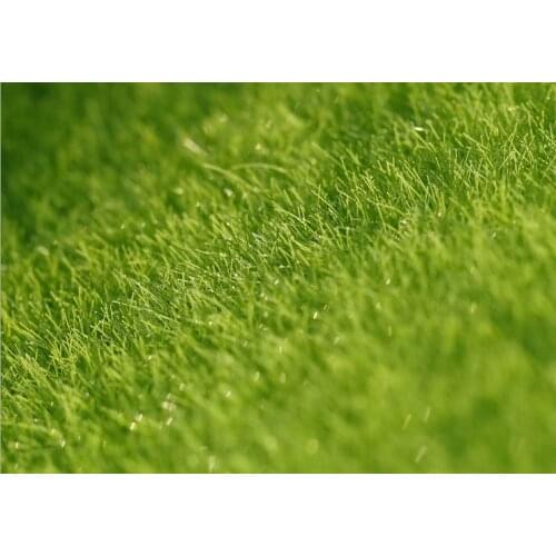 Shunshengmodel Artificial turf simulation lawn plastic fake lawn micro landscape artificial turf roof balcony green carpet