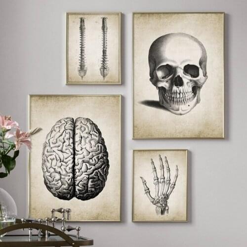 Brain Finger skull Human Anatomy Poster Vintage Wall Art Canvas Painting For Living Room Nordic Posters And Prints Wall Pictures