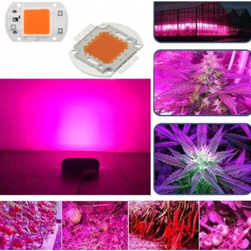 LED Full Spectrum Plant Growth Lamp Chip Luminous Efficiency Integrated Lamp Beads AC 220V 20W 30W 50W Plant Lighting