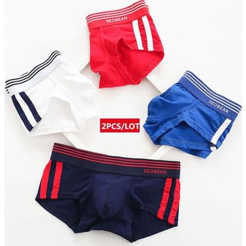 Richkeda Store New 2021 2PCS/LOT Male Underwear Breathable Cotton Boxer Men Panties U Convex Pouch Sexy Underpants Low