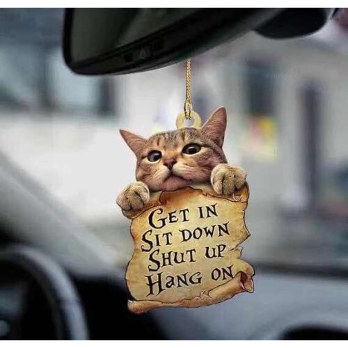 Cat Lover Get In Sit Down Shut Up Hang On Car Hanging Ornament Cat Ornament Home Door Hanging Decorations Crafts