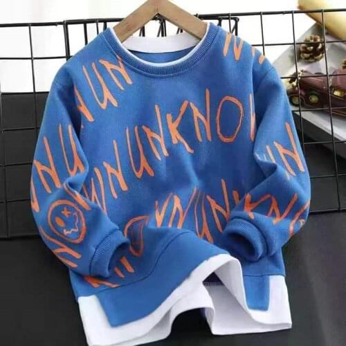 Autumn Sweatshirts Boys Clothes Long Sleeve Pullovers moletom Fashion sudaderas Kids Girls Tops Cotton Teens Children Clothing