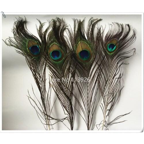 New1100pcs 25-30cm/10-12inch Natural Peacock Feathers Fly Tying Bulk peack tail Feathers For Home Wedding party Decoration