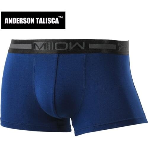 ANDERSON TALISCA New Underwear Men Boxer Para Hombre Man Penis Mens Boxers Modal Cuecas Masculina Boxershorts Homme Size L-4XL