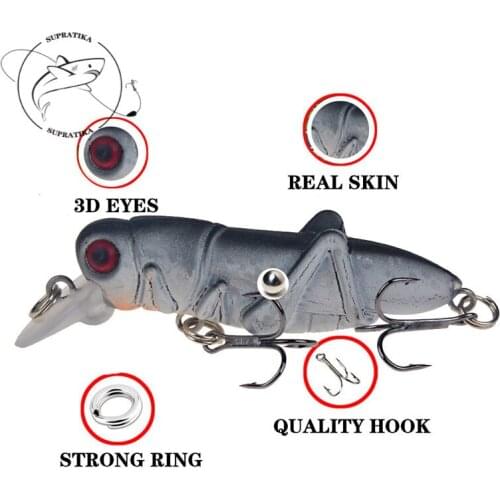 3D Eyes Topwater Anti-corrosion Bionic Plastic insect Bait Artificial Floating Insect Bait 55mm/3.5g Fishing Lure Hard Bait