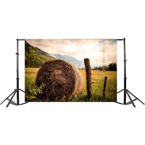 Photography Backdrop Farmland Wheat Field Straw Hay Bale Green Grass Trees Blue Sky White Cloud Nature