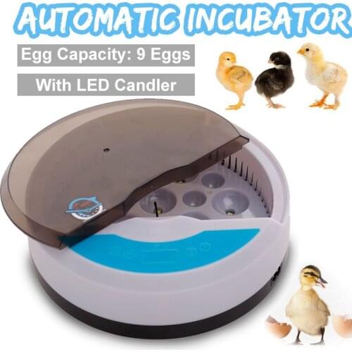 New 9 Egg Farm Hatchery Incubator Brooder Machine Hatchers Mini Household Chicken Automatic Eggs Incubator Bird Quail Brooder