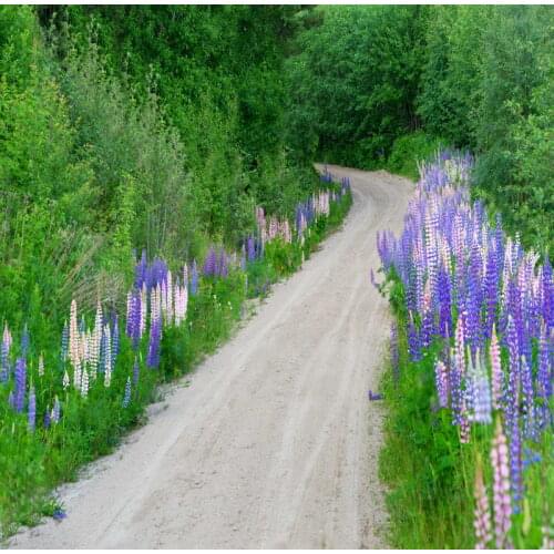 TR 10x10FT Spring Green Trees Avenue Path Road Grass Flowers Photography Backdrops Studio Backgrounds Vinyl 3x3m Photo Backdrops