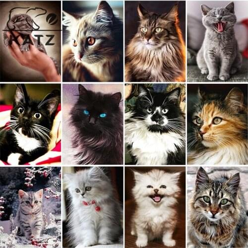 Diamond Painting Animals Embroidery Crossing Cute Cat Picture Diy Diamond Mosaic Art Pet Portrait Cross Stitch Home Decoration