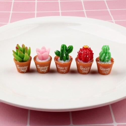 10pcs Cactus simulation succulent potted diy resin accessories doll accessories for blyth,barbi 1/6 doll