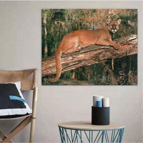 Wild Animal Wall Decor Florida Panther Big Cat Picture Art Print Poster canvas painting for living room home decoration framed
