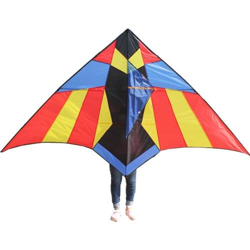 New Arrive Outdoor Fun Sports Delta Kite With Handle & Line Good Flying