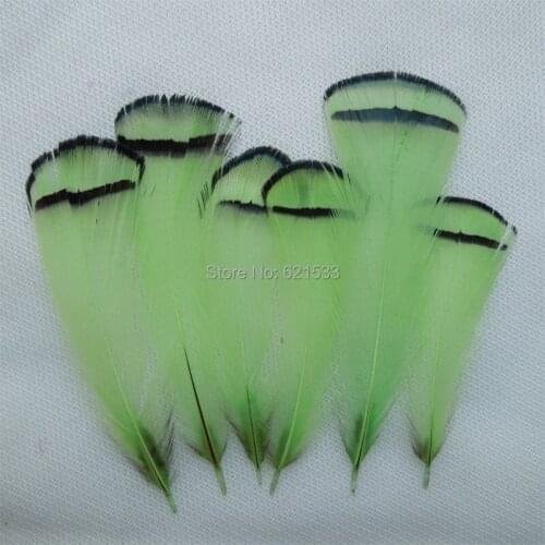 100pcs/lot! Dyed Lady Amherst Pheasant Tippet Feathers,Amherst Feathers,light green 5-9cm/2-4 inches Tall