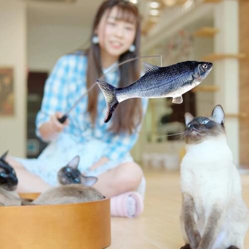 Cat Fish Toy Electric Simulation Fish Beating Funny Cat Fish Rechargeable Pet Toy Catnip Kicking Toy Interactive Pet Pillow