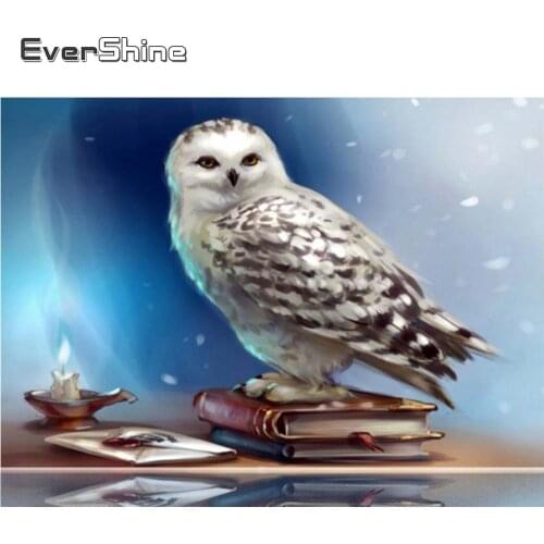 Evershine 5D DIY Full Square Round Diamond Painting Owl Cross Stitch Diamond Embroidery Sale Animal Mosaic Rhinestones Art