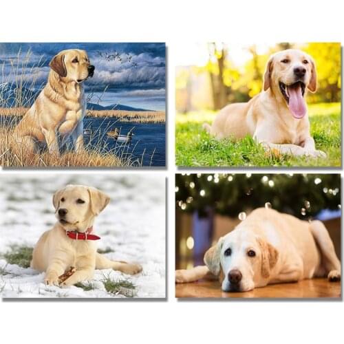 5d Diy Diamond Painting Labrador Picture Cross Stitch Needlework Embroidery Dog Full Round Diamond Mosaic Rhinestone Home Decor