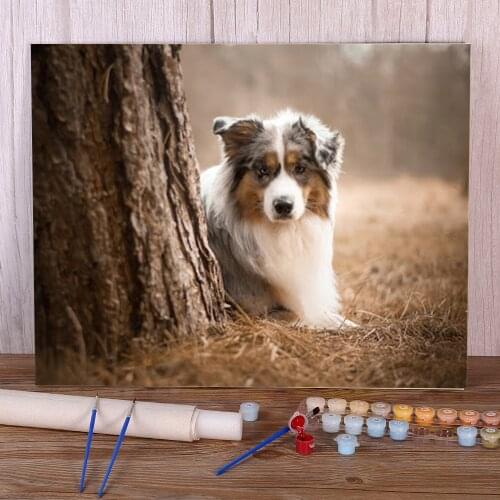 Animal Border Collie Painting By Numbers Complete Kit Oil Paints 40*50 Picture By Numbers Photo Wall Handicraft