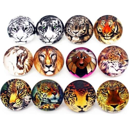 Newest Mix 10pcs/lot tiger Snap Button pretty Glass Snap Buttons Fit bangle 18mm DIY Snap Bracelet Jewelry