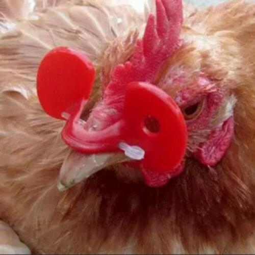 Useful Chicken Glasses Embolus Chicken Anti-pecking Tool Poultry Goggles Prevent Fights Glasses Chicken Equipment Dropshipping