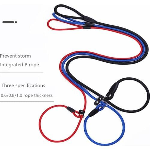 New Pet Dog Polyester Rope Training Leash Running Walk Train for Large Small Cat Pets Slip Lead Strap Adjustable Pet Supplies