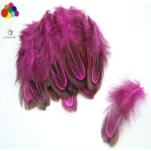 Wholesale 5-10CM (2-4 inches) Pheasant Feather Dyed Rose 100PCS DIY Craft Headdress Earrings Accessories Feather