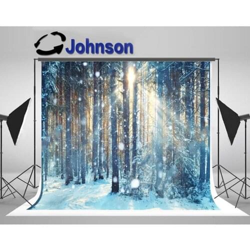 Winter forest Frosty Landscape Snowy Sunshine backdrop High quality Computer print scenic background