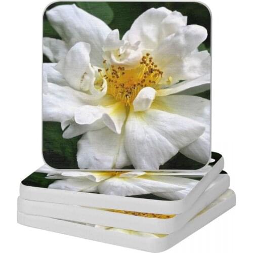 White Camellia Diatomite Square Round Coaster Eco-friendly Cup Bonsai Mat Soap Toothbrush Pad Diameter 10cm