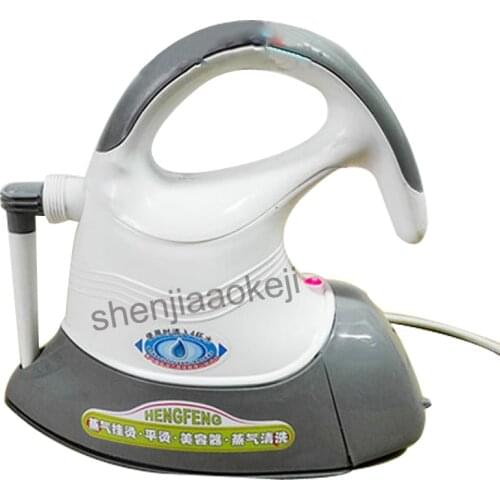 DWF-A8 Household Steaming cleaning machine Multifunctional Steam Iron Brush Cleaner Hand-held perm machine 220v 750W 1pc
