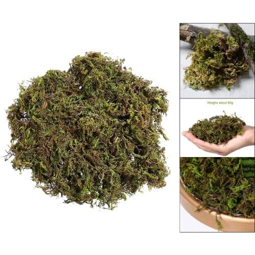 100g/bag Simulation Keep Dry Moss Garden Decoration for Fairy Gardens Crafts
