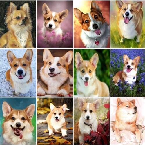 RUOPOTY Corgi Paint By Number Dog Animal HandPainted Painting Art Gift DIY Pictures By Number Kits Drawing On Canvas Home Decor