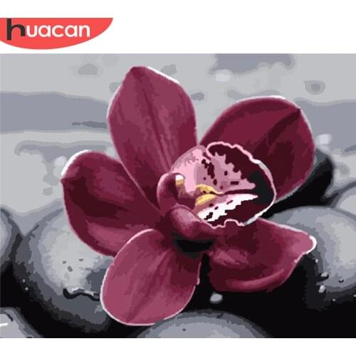 HUACAN Paint By Number Drawing On Canvas HandPainted Painting Art Gift DIY Pictures By Number Flower Kits Home Decoration