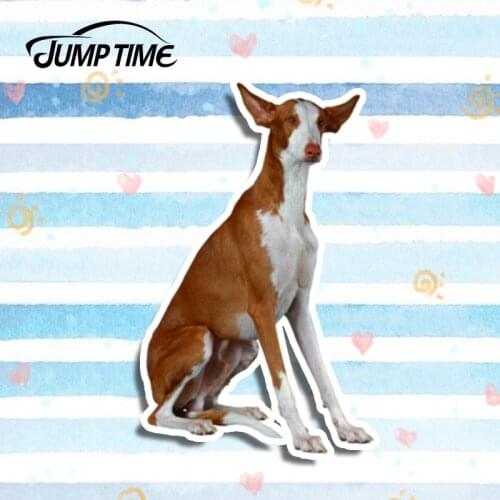 Jump Time 13cm x 8cm Funny Stickers Ibizan Hound Pet Dog 3D Car Styling Vinyl Decal Personality Waterproof Car Accessories