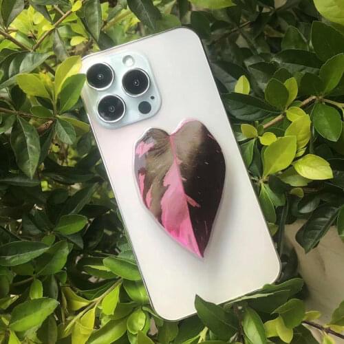 WEIMIAOYIN Mobile Phone Holders