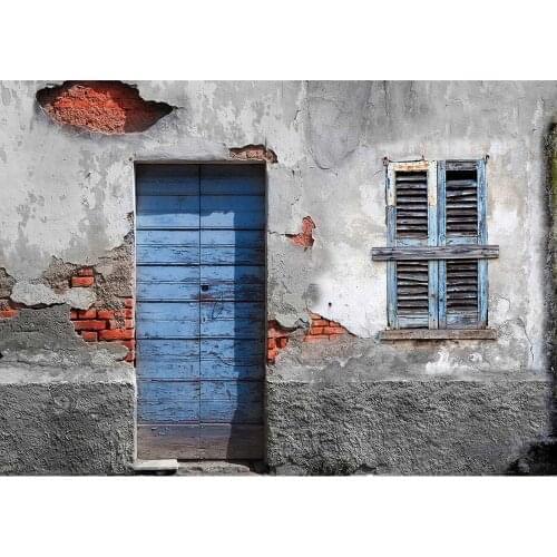 Broken Cement Brick Wall Wooden Door Photography Background Vinyl Backdrop for Children Baby Portrait Pet Photoshoot Fond Photo