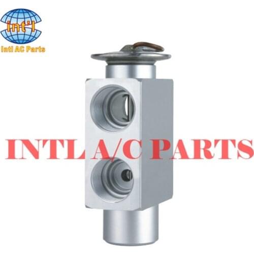 BLOCK EXPANSION VALVE FOR VW Santana/ for Vw Jetta /for MERCEDES Benz/ for Bmw 1238301184