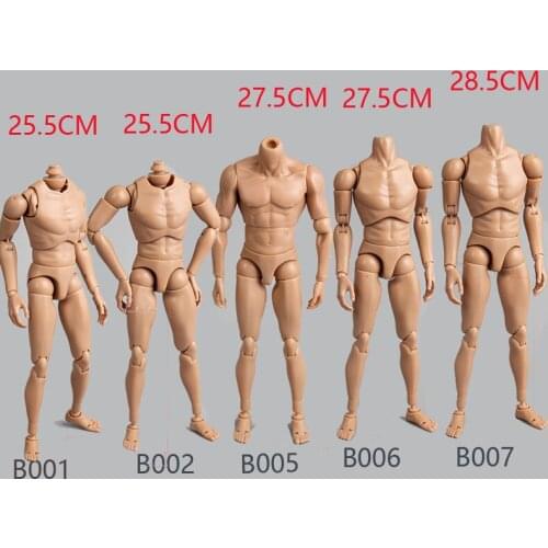 1/6 Scale B001/2/5/6 Narrow Shoulder Caucasian Male Body Model Dragon For 12" Male Head