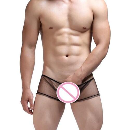 Sexy New Super Sexy Mens Sexy Sheer Underwear Boxers Sexy Transparent Men Underwear Shorts Mens' Underpants Male Lingerie